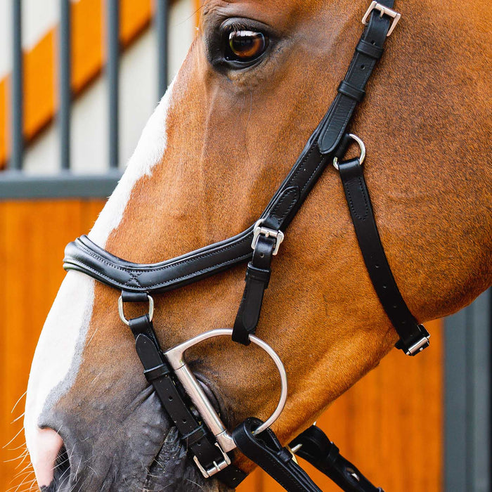 Micklem 2.0 Deluxe Competition Bridle for Horses - Padded Leather, Reins Included, Dressage & Show Bridle - FO50D - Black - Oversized - 9