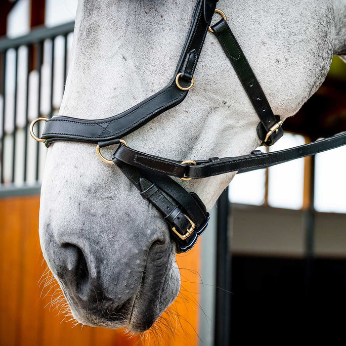 Micklem 2.0 Multi Bridle for Horses – Adjustable Bit Straps, Padded Leather, Pressure - Relief Design - FO50G - Dark Havana - Full - 10