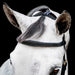Micklem 2.0 Multi Bridle for Horses – Adjustable Bit Straps, Padded Leather, Pressure - Relief Design - FO50G - Dark Havana - Full - 11