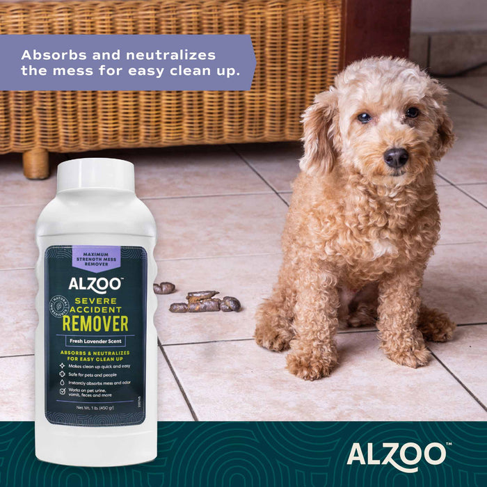 Mineral - Based Severe Pet Accident Remover & Absorbent Deodorizer, Lavender Scented, 15.2 oz - 7VXB - 3