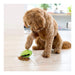 Monster Mouth Treat Dispenser Dog Chew Toy – Chew, Stuff & Freeze Toy for Mental Stimulation and Fun - H7VT - Geen - 3" - 2