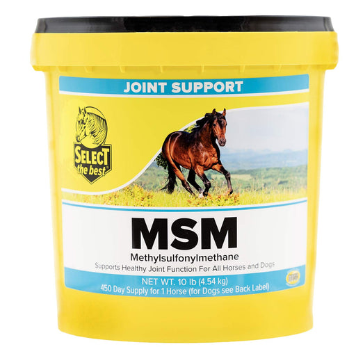 MSM Joint Support Supplement for Horses and Dogs – Hip, Joint & Mobility Health with Bioavailable Sulfur - SELCR - 10 lb - 460 Day Supply - 2