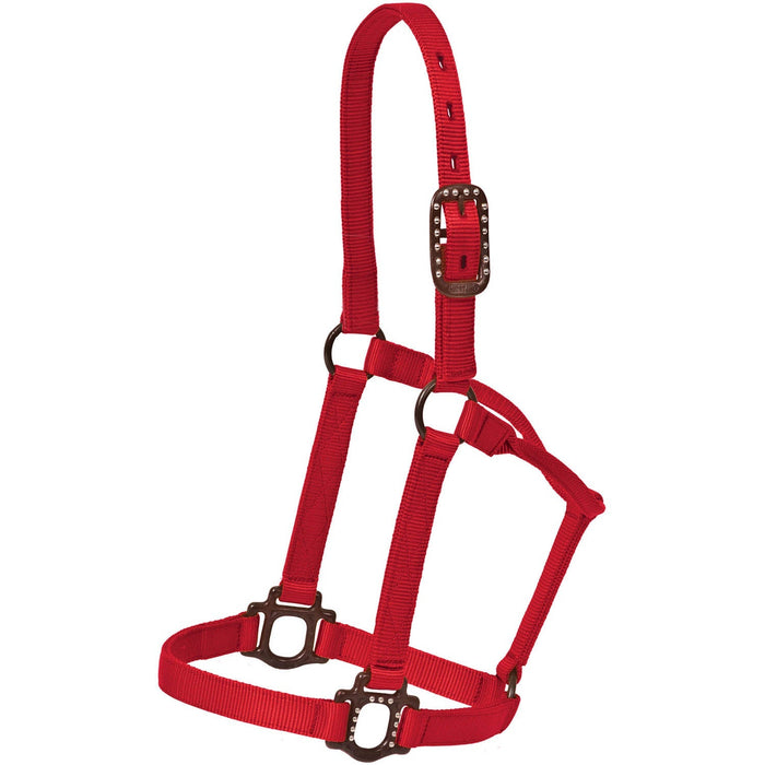 Mustang Nylon Halter with Antique Dot Hardware for Horses - 1212AB - Red - Horse - 1 ct - 1