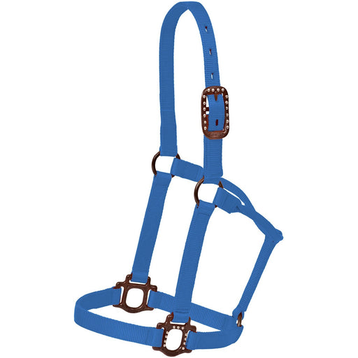 Mustang Nylon Halter with Antique Dot Hardware for Horses - 1212AC - Blue - Horse - 1 ct - 2