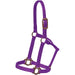Mustang Nylon Halter with Antique Dot Hardware for Horses - 1212AG - Purple - Horse - 1 ct - 6