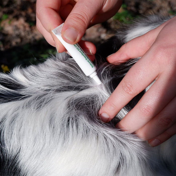 Natural Plant - Based Flea & Tick Squeeze - On Topical for Dogs - 7VWC - 3 pack (3 Month Supply) - 8