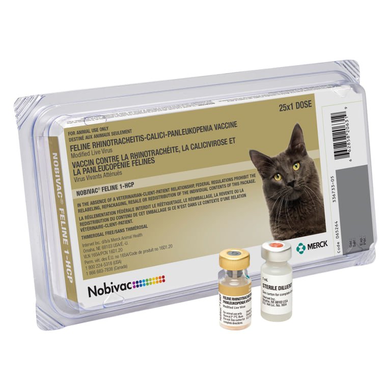 Nobivac® Feline 1 - HCP Cat Vaccine - SHJ1 - 25 Dose - 1