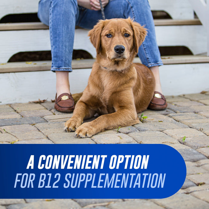 Nutramax Cobalequin B12 Supplement for Cats & Dogs - 015NM-COBMLG45 - 22 lbs and Over - 45 ct - 13