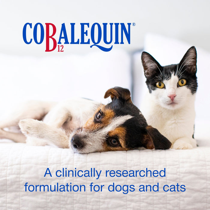 Nutramax Cobalequin B12 Supplement for Cats & Dogs - 015NM-COBSM45 - Less than 22 lbs - 45 ct - 7
