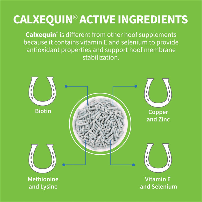Nutramax Cosequin Calxequin Pellets Daily Hoof Support for Horses, 1260 Grams - 060NM-3000250 - 4