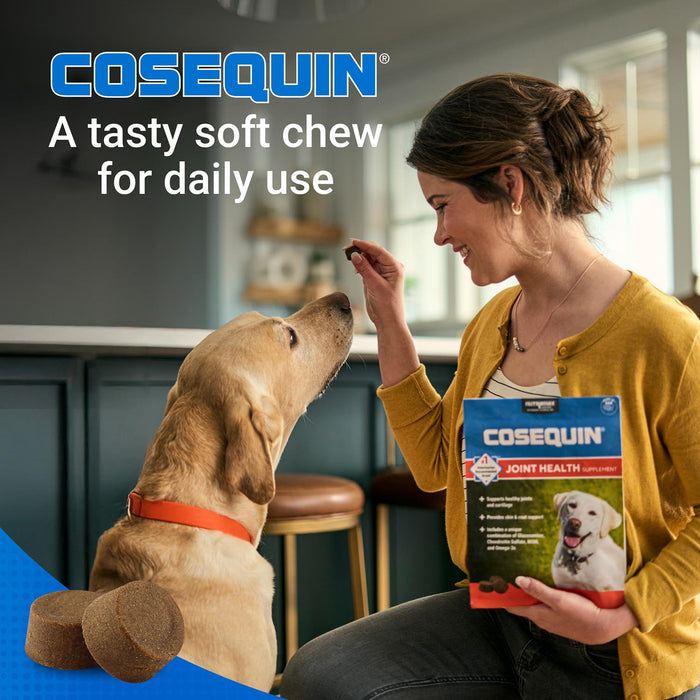 Nutramax Cosequin Joint Health Supplement for Dogs - With Glucosamine, Chondroitin, MSM, and Omega - 3's - 015NM-CQOMSC120-MSM - 120 count - 12