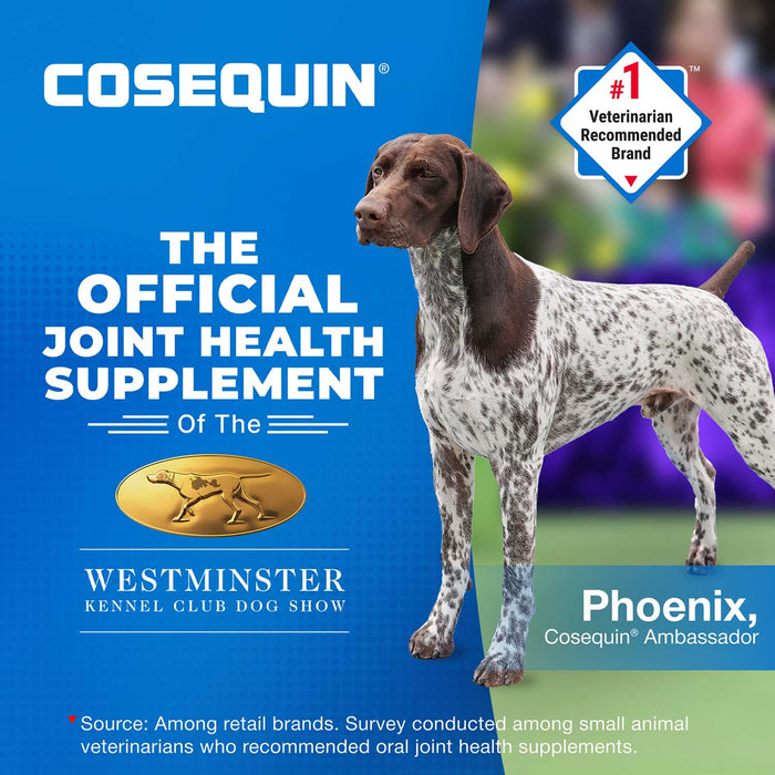 Nutramax Cosequin Maximum Strength Joint Health Plus MSM Supplement for Dogs, Chewable Tablets - 015NM-CHEWDS250-MSM - 250 Chewable Tablets - Each - 23