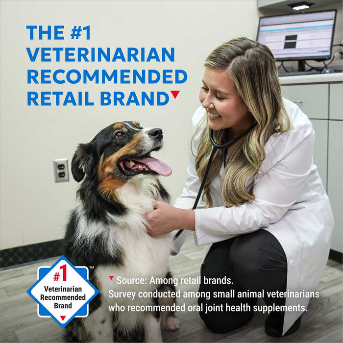 Nutramax Cosequin Standard Strength Joint Health Supplement for Dogs, With Glucosamine and MSM - 015NM-CQHJ75 - 3