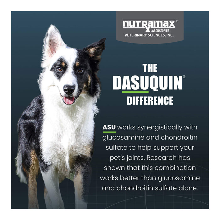 Nutramax Dasuquin for Dogs, Joint Health Supplement, Glucosamine, Chondroitin, ASU and More, Soft Chews - 015NM-LG-150 - Large - 150 count - 14