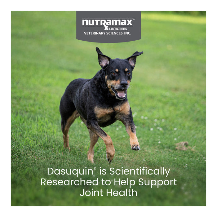 Nutramax Dasuquin for Dogs, Joint Health Supplement, Glucosamine, Chondroitin, ASU and More, Soft Chews - 015NM-LG-150 - Large - 150 count - 11