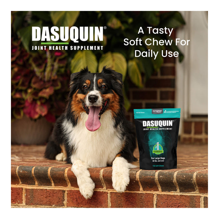 Nutramax Dasuquin for Dogs, Joint Health Supplement, Glucosamine, Chondroitin, ASU and More, Soft Chews - 015NM-LG-150 - Large - 150 count - 21