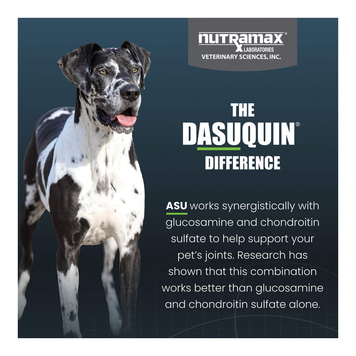 Nutramax Dasuquin for Dogs, Joint Health Supplement, Glucosamine, Chondroitin, ASU, MSM and More, Supports Healthy Joints, Soft Chews - 2FAF-2 - Large - Over 60 lbs - 2 pk (150 ct) - 16