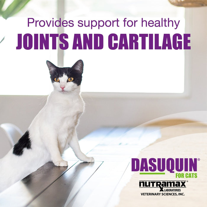 Nutramax Dasuquin Joint Health Supplement for Cats, Soft Chews - 015NM-3000034 - 84 Soft Chews - 5