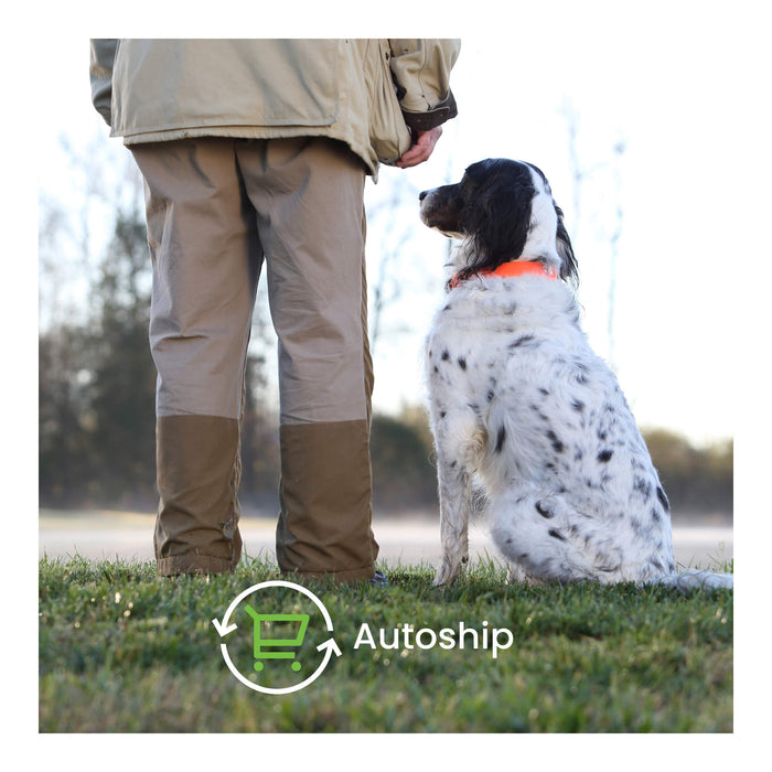 Nutramax Dasuquin Joint Supplement for Dogs (with Glucosamine, Plus Chondroitin, ASU, MSM & More) - 015NM02-M150 - Small/Medium - Under 60 lbs - 150 ct - 11