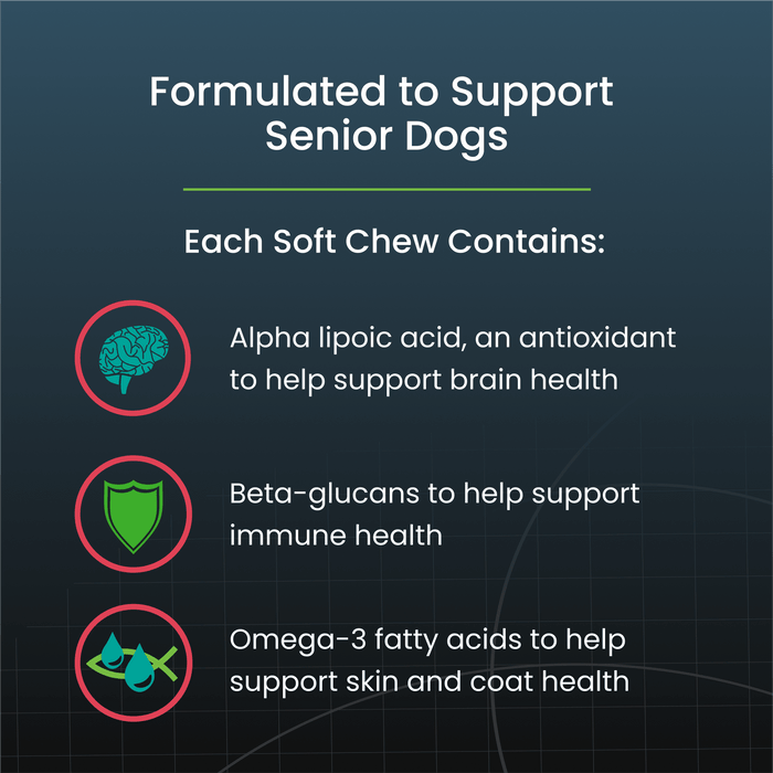 Nutramax Dasuquin Senior Joint Health Supplement for Dogs, 84 Soft Chews - 015NM-3000215 - Small/Medium - Under 60 lbs - 84 Soft Chews - 14