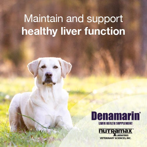 Nutramax Denamarin Liver Health, Chewable Tablets - 015NM-DC225-30 - 30ct - 8