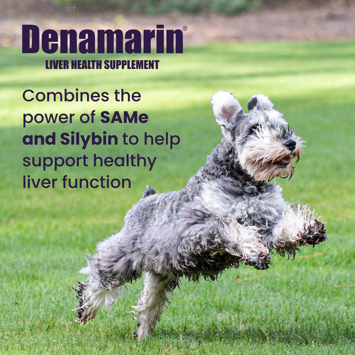 Nutramax Denamarin Liver Health, Stabilized Tablets - 015NM-D225 - 13 - 34lbs - 1 pk (30 ct) - 20