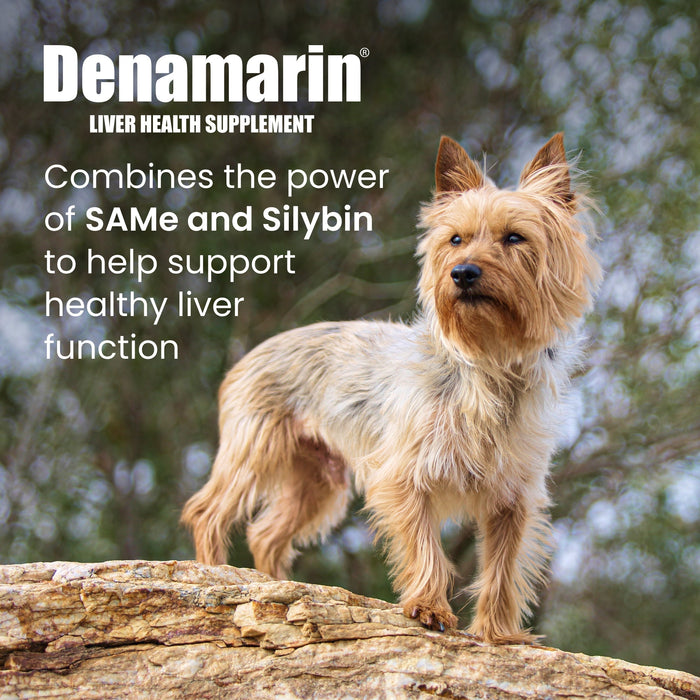 Nutramax Denamarin Liver Health Tablets for Dogs and Cats - 015NM-3000110 - Up to 12lbs - 30 Tablets - 8