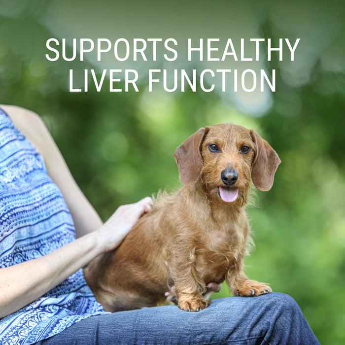 Nutramax Denosyl Liver and Brain Health Supplement - 015NM-SD4 - Dog - 225 mg - 30 ct - 17
