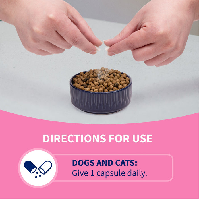 Nutramax Proviable - DC Capsules for Dogs & Cats - 015NM-80 - 80 ct - Single Pack - 16