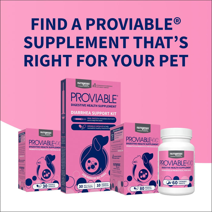 Nutramax Proviable - DC Capsules for Dogs & Cats - 015NM-80 - 80 ct - Single Pack - 21