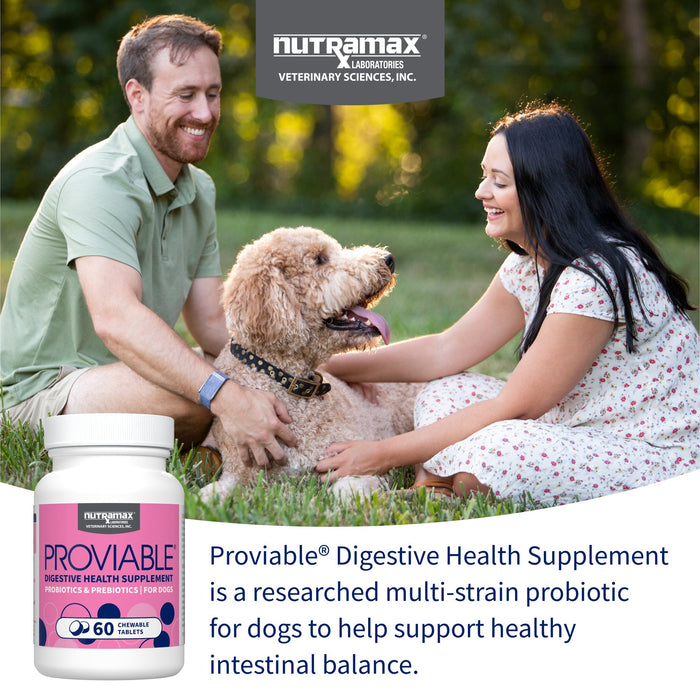 Nutramax Proviable - DC Chew Tablets for Dogs, 60 ct - 015NM-P60 - 2