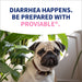 Nutramax Proviable - KP/DC Kit for Dogs and Cats, 10 Capsules - 015NM-15ML - Cats & Small Dogs - 15 mL Paste - 1 ct - 12