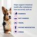 Nutramax Proviable - KP/DC Kit for Dogs and Cats, 10 Capsules - 015NM-15ML - Cats & Small Dogs - 15 mL Paste - 1 ct - 5