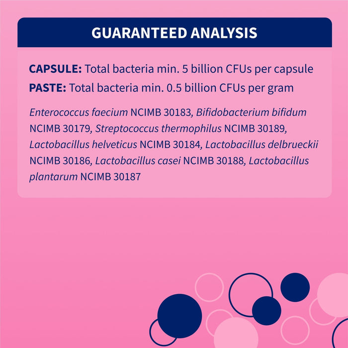 Nutramax Proviable - KP/DC Kit for Dogs and Cats, 10 Capsules - 015NM-15ML - Cats & Small Dogs - 15 mL Paste - 1 ct - 9