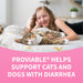 Nutramax Proviable - KP/DC Kit for Dogs and Cats, 10 Capsules - 015NM-15ML - Cats & Small Dogs - 15 mL Paste - 1 ct - 11