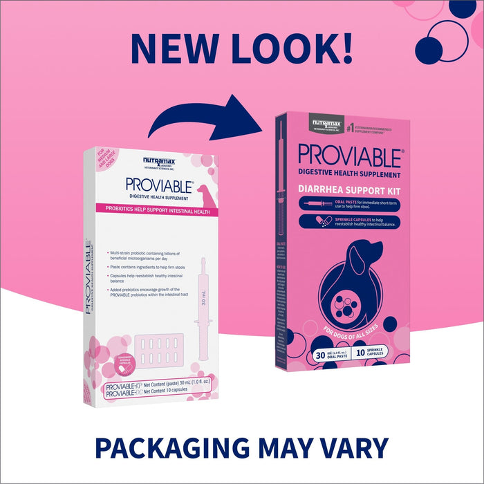 Nutramax Proviable - KP/DC Kit for Dogs and Cats, 10 Capsules - 015NM-30ML - Medium/Large Dogs - 30 mL Paste - 1 ct - 15