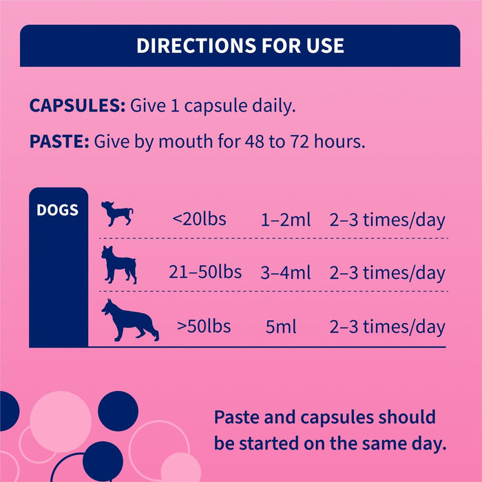 Nutramax Proviable - KP/DC Kit for Dogs and Cats, 10 Capsules - 015NM-30ML - Medium/Large Dogs - 30 mL Paste - 1 ct - 19