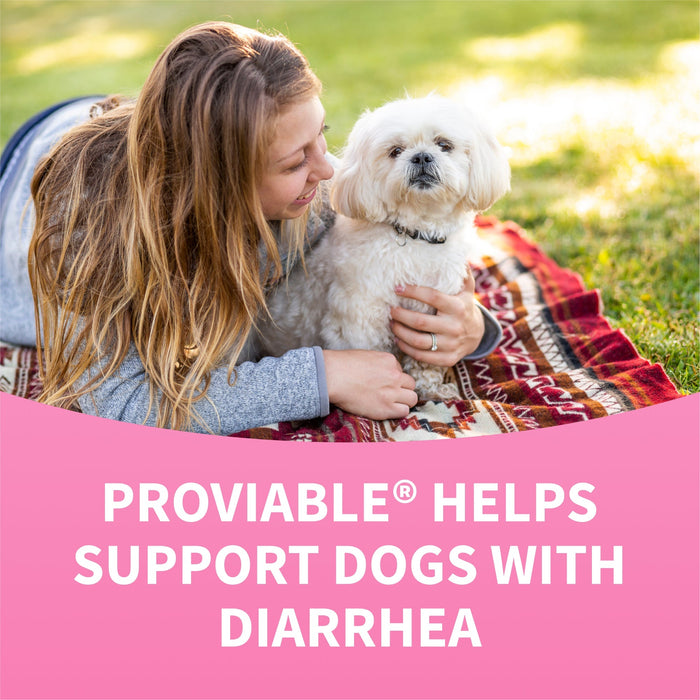 Nutramax Proviable - KP/DC Kit for Dogs and Cats, 10 Capsules - 015NM-30ML - Medium/Large Dogs - 30 mL Paste - 1 ct - 24