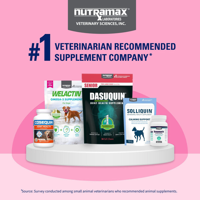Nutramax Proviable - KP/DC Kit for Dogs and Cats, 10 Capsules - 015NM-30ML - Medium/Large Dogs - 30 mL Paste - 1 ct - 26