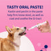 Nutramax Proviable - KP/DC Kit for Dogs and Cats, 10 Capsules - 015NM-30ML - Medium/Large Dogs - 30 mL Paste - 1 ct - 20