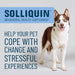 Nutramax Solliquin Soft Chews, 75 ct - 015NM-3000230 - Single Pack - Large Dog - 17