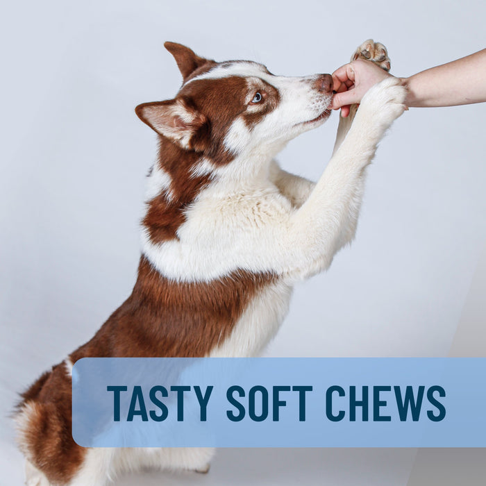 Nutramax Solliquin Soft Chews, 75 ct - 015NM-3000230 - Single Pack - Large Dog - 12
