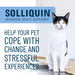 Nutramax Solliquin Soft Chews, 75 ct - 015NM-3000230 - Single Pack - Large Dog - 11
