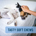 Nutramax Solliquin Soft Chews, 75 ct - 015NM-SOLLSC75 - Single Pack - Small - Med Dog / Cat - 4