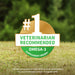Nutramax Welactin Natural Omega - 3 Liquid Skin & Coat Supplement for Dogs - 015NM-500 - 16 oz - 3