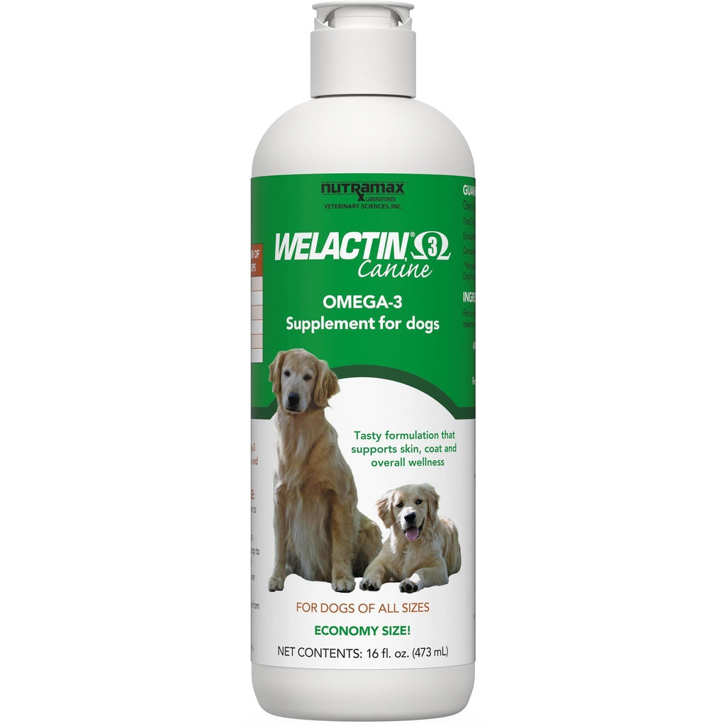 Healthy Skin & Coat Dog Supplementsly — Lambert Vet Supplies