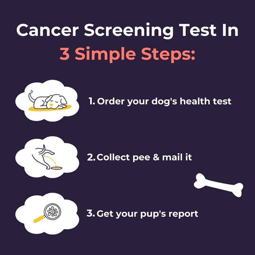 Oncotect Essential At - Home Dog Cancer Screening Test Kit - OTC1 - 1 Test Kit - 2