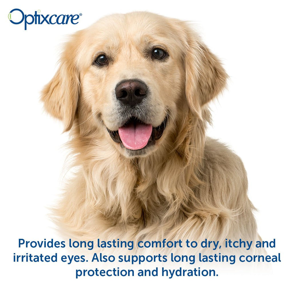Optixcare Eye Lube Plus for Dogs and Cats, 20gm — Lambert Vet Supplies