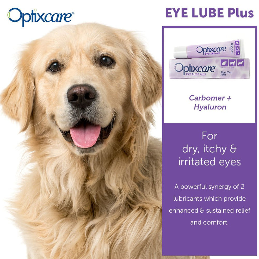 Optixcare Eye Lube Plus for Dogs and Cats, 20gm — Lambert Vet Supplies