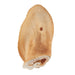Cow Ears Natural Shrink Wrap with Label Color Natural